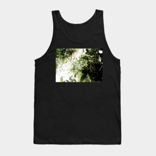 Elderflower blossom in midsummer light Tank Top